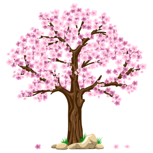 open-primavera